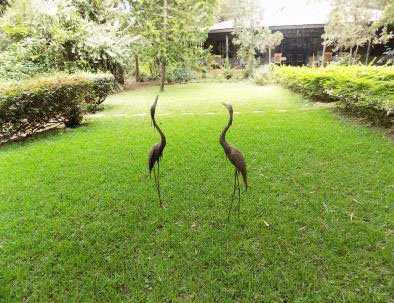 beautifulgarden