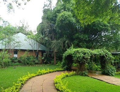 garden